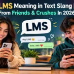 LMS Meaning in Text Slang