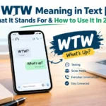 WTW Meaning in Text
